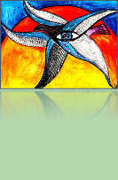 Metaphysical Growth Metaphysical Growth